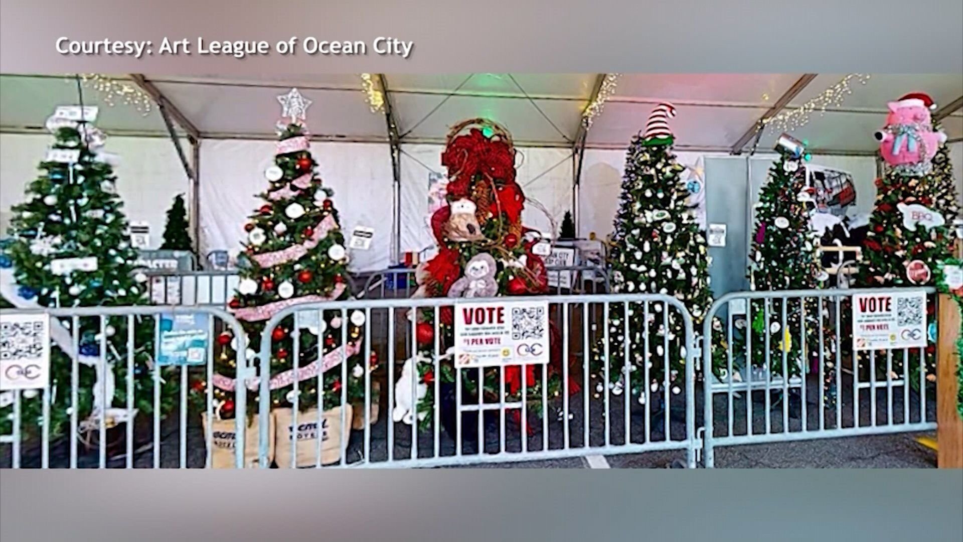 The Art League of Ocean City is Telling Us All About Trees for the Arts